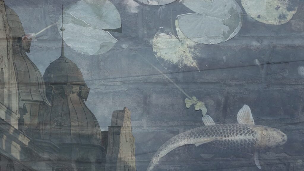 Collage Koi Am Dach Wolkenstein Kopie