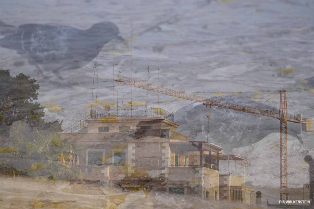 Collage Pigeons On Flooded Roof Wolkenstein